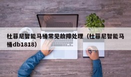 杜菲尼智能马桶常见故障处理（杜菲尼智能马桶db1818）