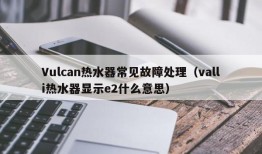 Vulcan热水器常见故障处理（valli热水器显示e2什么意思）