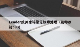 Leader统帅冰箱常见故障处理（统帅冰箱593）