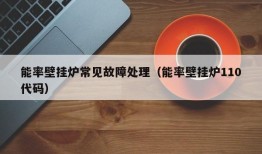 能率壁挂炉常见故障处理（能率壁挂炉110代码）
